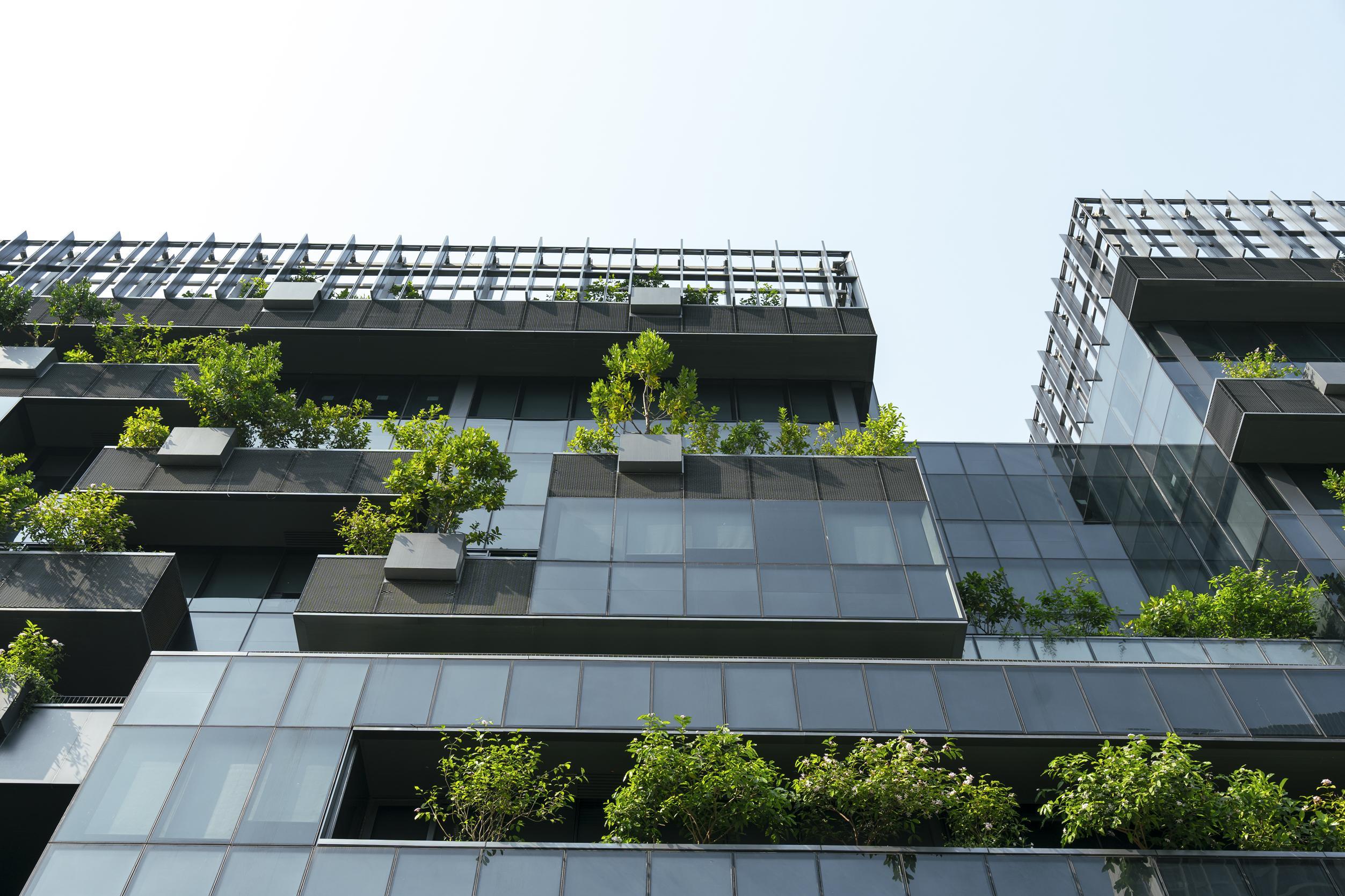 Arquitectura sostenible en Castellón: guía práctica